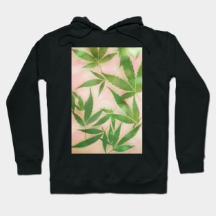 Dreamy Cannabis Marijuana Leaves Hoodie